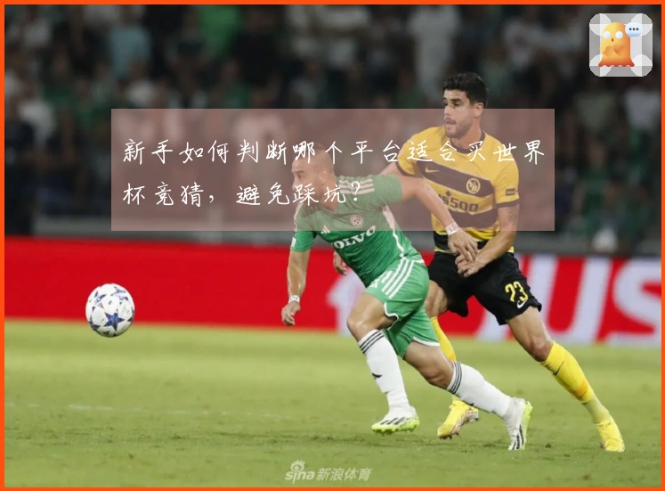 新手如何判断哪个平台适合买世界杯竞猜，避免踩坑？
