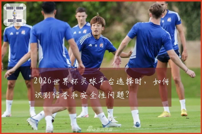 2026世界杯买球平台选择时，如何识别信誉和安全性问题？