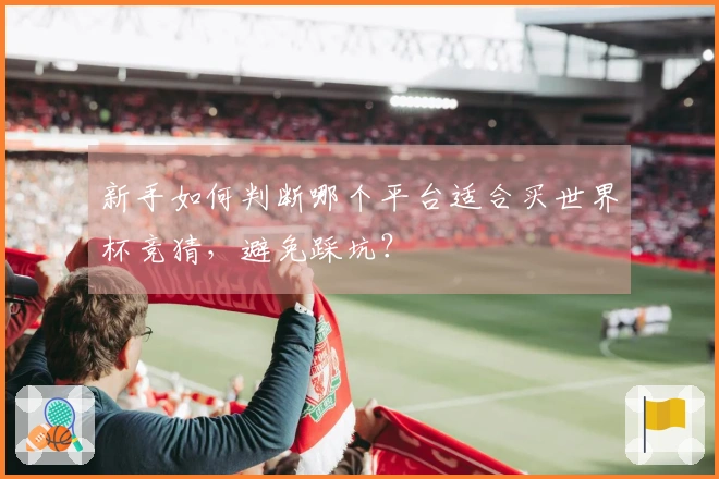 新手如何判断哪个平台适合买世界杯竞猜,避免踩坑?